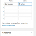 Piwik WordPress plugin for custom variables